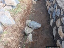IMG 20260731 WA0028