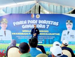Demplot Gamagora 7 Sukses, Bojonegoro Bidik Rekor Nasional