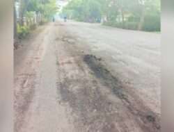 Viral, Gundukan Tinggi di Jalan Bojonegoro–Babat Picu Kecelakaan