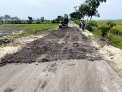 Proyek BKKD Desa Ngampal Bojonegoro Bermasalah, Dari RAB hingga Pola Lelang Dipertanyakan
