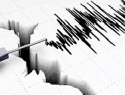Indonesia Diguncang Gempa Beruntun: Simak Data Terbarunya