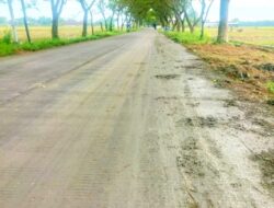 Keluhan Lama Warga Bojonegoro: Jalan Licin Bekas Combine Picu Kecelakaan di Lengkong Balen