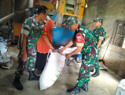 Babinsa Kalijambe Cek Penggilingan Padi, Pastikan Stok Beras Aman untuk Kebutuhan Warga