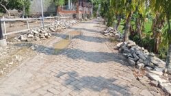 Berbulan bulan Mangkrak, Paving di Gang Algasi Dander Bikin Warga Geleng-Geleng