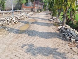 Berbulan bulan Mangkrak, Paving di Gang Algasi Dander Bikin Warga Geleng-Geleng