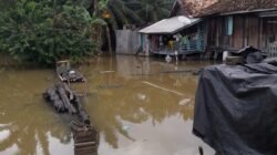 Wy KANAN DI SERANG HUJAN