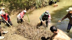 Babinsa Bakung Bersama Warga Kedung Banteng Gotong Royong Bersihkan Sungai Cegah Banjir