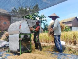 Babinsa Sananwetan Turun ke Sawah, Perkuat Ketahanan Pangan Lewat Aksi Nyata