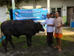 Federasi Serikat Pekerja Pertamina Bersatu Salurkan Satu Sapi Qurban ke Ponpes Al Fitriyah di Jember, 