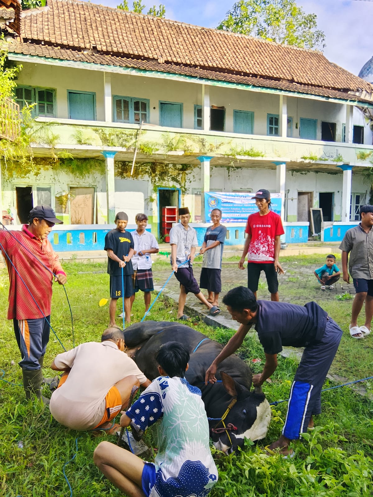 IMG 20260527 WA0102
