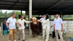 DPC dan Fraksi Partai Gerindra Bojonegoro Sembelih 19 Ekor Sapi dan 25 Ekor Kambing Kurban, Warga Apresiasi Kepedulian Partai