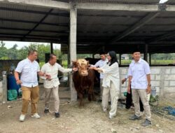 DPC dan Fraksi Partai Gerindra Bojonegoro Sembelih 19 Ekor Sapi dan 25 Ekor Kambing Kurban, Warga Apresiasi Kepedulian Partai