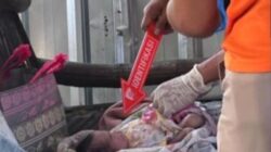Bayi Laki-laki Ditemukan Meninggal di Dalam Tas di Rengel, Polisi Selidiki Pelaku Pembuangan