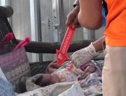 Bayi Laki-laki Ditemukan Meninggal di Dalam Tas di Rengel, Polisi Selidiki Pelaku Pembuangan