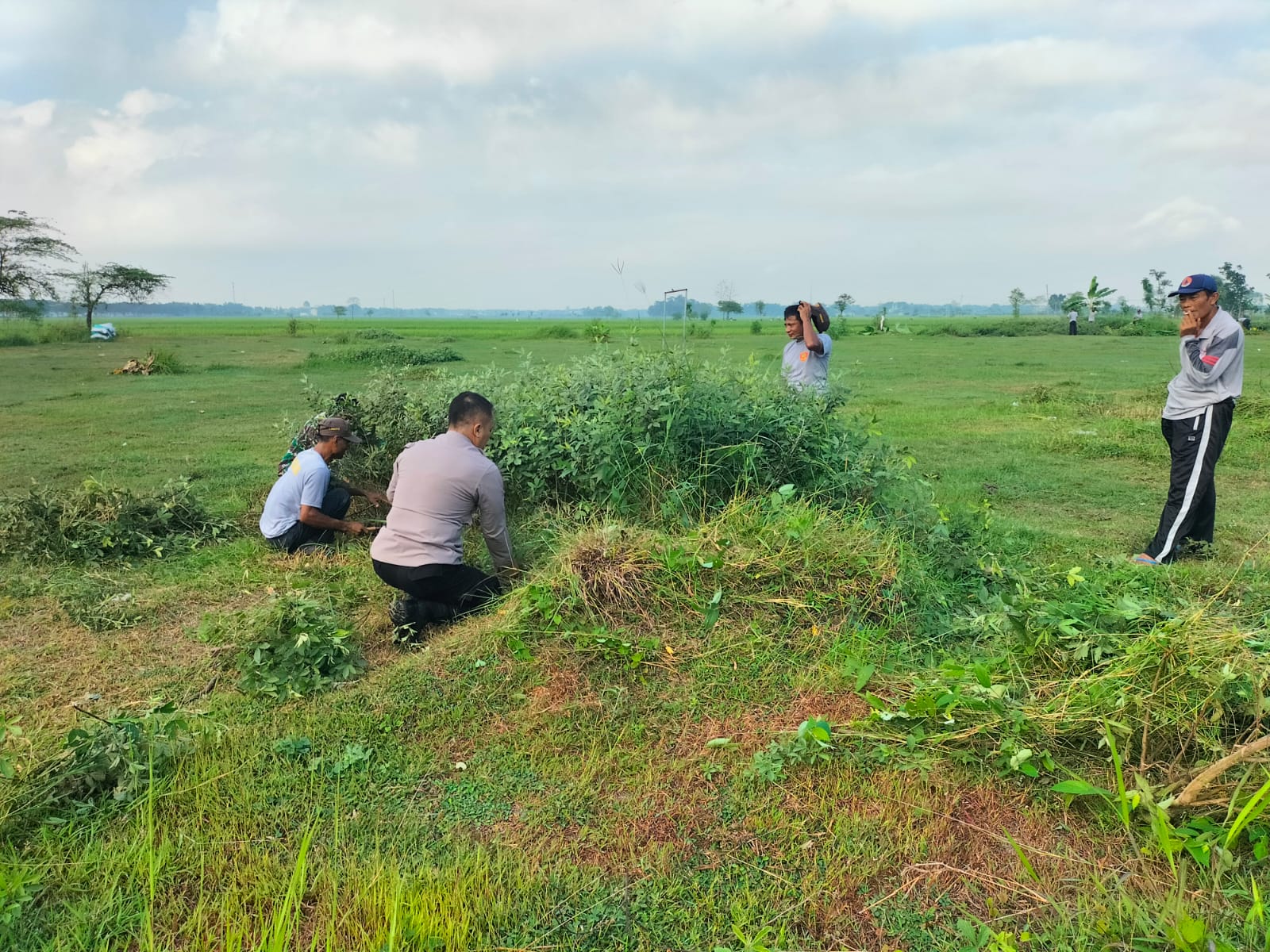 IMG 20260606 WA0069