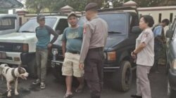 Tragedi di Jasinga: Bocah Meninggal Dunia Setelah Diserang Anjing Pemburu Babi Hutan