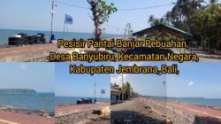 Nelayan Pebuahan Pertanyakan Keterbukaan Musyawarah Budidaya Kerang Mutiara, PPWI Jembrana Dorong Dialog Inklusif