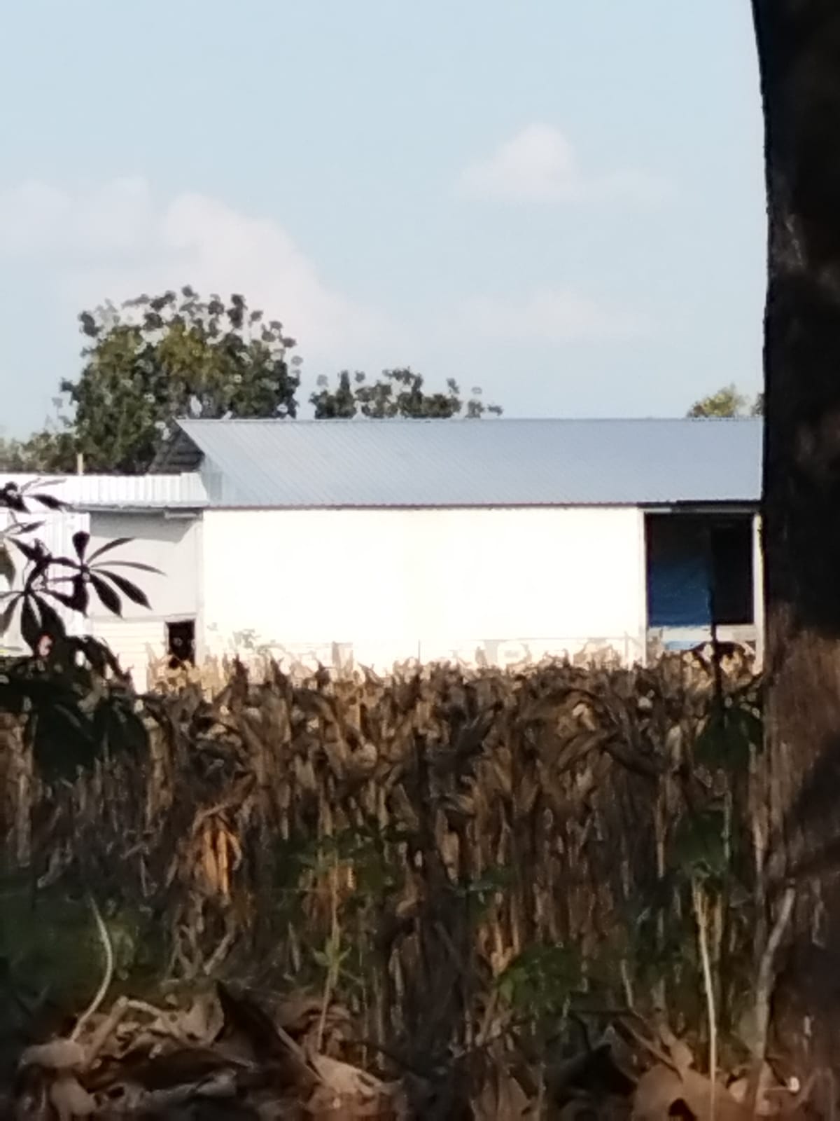 IMG 20260625 WA0116