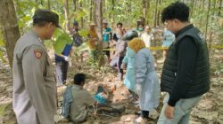Heboh! Wanita Banyuwangi Ditemukan Tewas di Tengah Hutan Perhutani, Polisi Temukan HP dan Pakaian Utuh Tanpa Luka Kekerasan