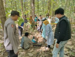 Heboh! Wanita Banyuwangi Ditemukan Tewas di Tengah Hutan Perhutani, Polisi Temukan HP dan Pakaian Utuh Tanpa Luka Kekerasan