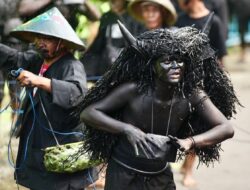 Tradisi Kebo-keboan Alasmalang Banyuwangi, Kearifan Lokal yang Tak Tergerus Zaman