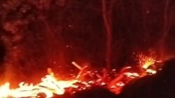 Diundang Lalu Ditolak! Petugas Damkar Banyuwangi Kecewa Berat, Sinder PTPN Regional 5 Halau 3 Unit Mobil Pemadam Saat Kebakaran Kayu Mangga