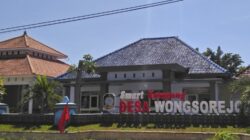 Viral di Medsos, Bibit Jagung BUMDes Wongsorejo Diduga Gagal Tumbuh Setelah Seminggu Ditanam