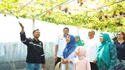 IMG 20260702 WA0108
