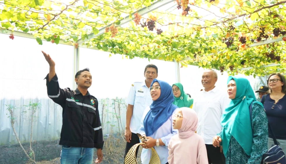 IMG 20260702 WA0108