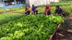 SMAN 1 Tanggul mewakili Kabupaten Jember pada lomba program SIKAP Award 2026, Tampilkan Inovasi dan Komitmen Penguatan Program SIKAP