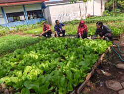 SMAN 1 Tanggul mewakili Kabupaten Jember pada lomba program SIKAP Award 2026, Tampilkan Inovasi dan Komitmen Penguatan Program SIKAP