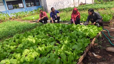 SMAN 1 Tanggul mewakili Kabupaten Jember pada lomba program SIKAP Award 2026, Tampilkan Inovasi dan Komitmen Penguatan Program SIKAP