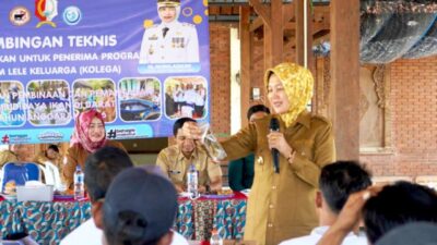 IMG 20260714 WA0185