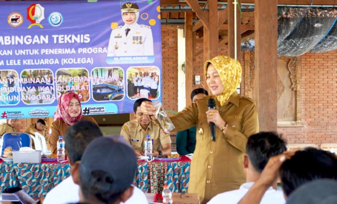 IMG 20260714 WA0185