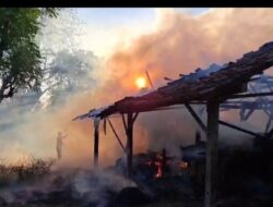 Bara Api Sampah Pakan Terbang Angin, Kandang Sapi Milik Lansia di Wongsorejo Ludes Terbakar