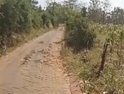 Paving Baru Rusak, Warga Alasbuluh Diam Saja? Aset Dana Desa di Dusun Pallima Hancur Dihajar Truk Overload, Sinergi Pemdes-Warga Dinilai Gagal Total