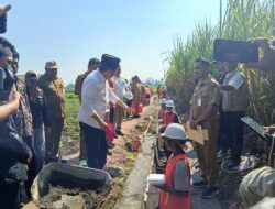 Bupati Jember Tinjau Proyek Rehabilitasi Jaringan Irigasi Tersier ( RJIT ) di Desa Wonojati Kecamatan Jenggawah