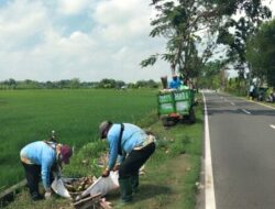 DLH Bojonegoro Intensif Bersihkan Titik Pembuangan Sampah Liar, Ajak Warga Bangun Budaya Peduli Lingkungan