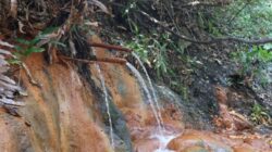 Banyu Kuning, Jejak Aktivitas Panas Bumi yang Memperkaya Wisata Geologi Bojonegoro