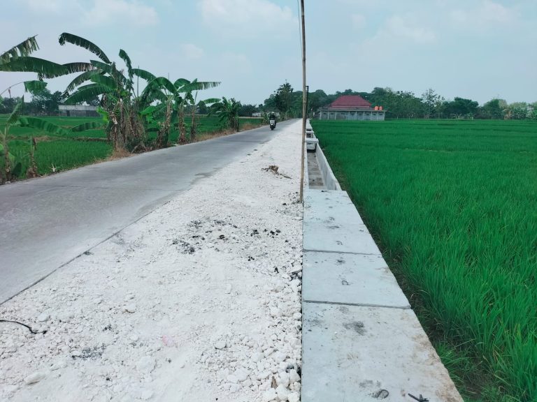 IMG 20260804 WA0310 1 768x576
