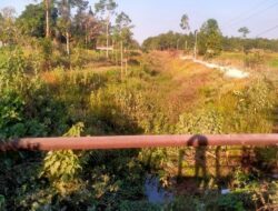 Baru Direhabilitasi, Saluran Irigasi di Sampang Kembali Semrawut, Warga Soroti Perawatan dan Distribusi Air