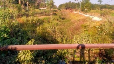 IMG 20260810 WA0194
