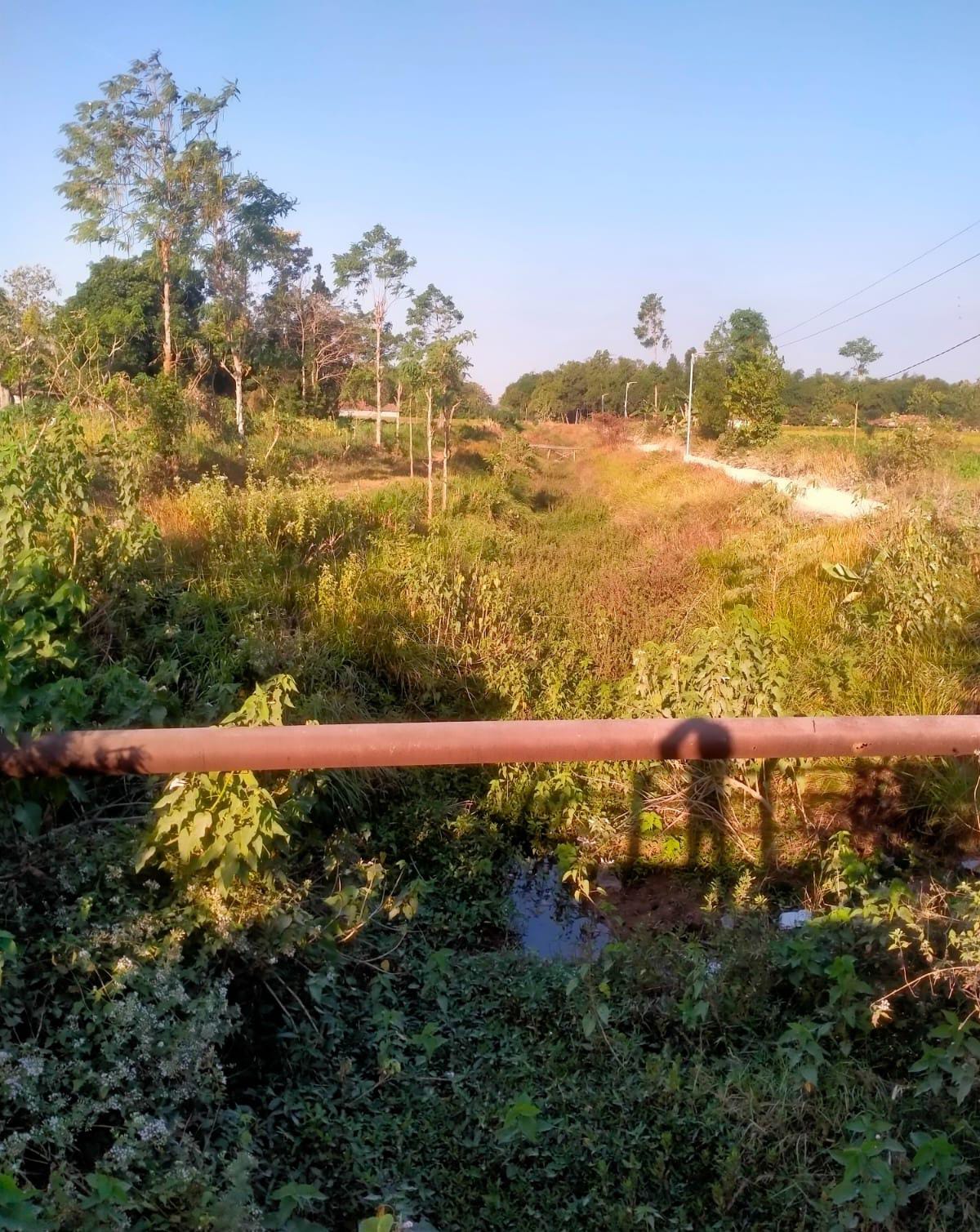 IMG 20260810 WA0194