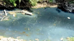 Air Sungai Pacal Berubah Keruh dan Berbuih, Warga Minta DLH Segera Turun Lapangan