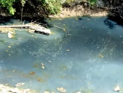 Air Sungai Pacal Berubah Keruh dan Berbuih, Warga Minta DLH Segera Turun Lapangan