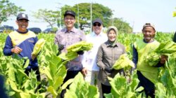 Medhayoh IX Cengkir: Pemkab Bojonegoro Dorong Penguatan Irigasi untuk Pertanian dan Wisata Desa