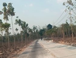 Proyek Jalan Rp3,49 Miliar di Tuban Belum Tampak Dikerjakan, Bupati Minta OPD Percepat Realisasi Anggaran