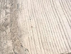 IMG 20260909 WA0013