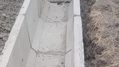 IMG 20261030 WA0141